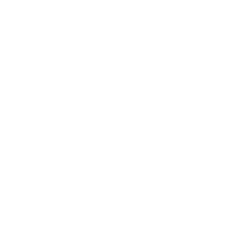 Bastards White Logo